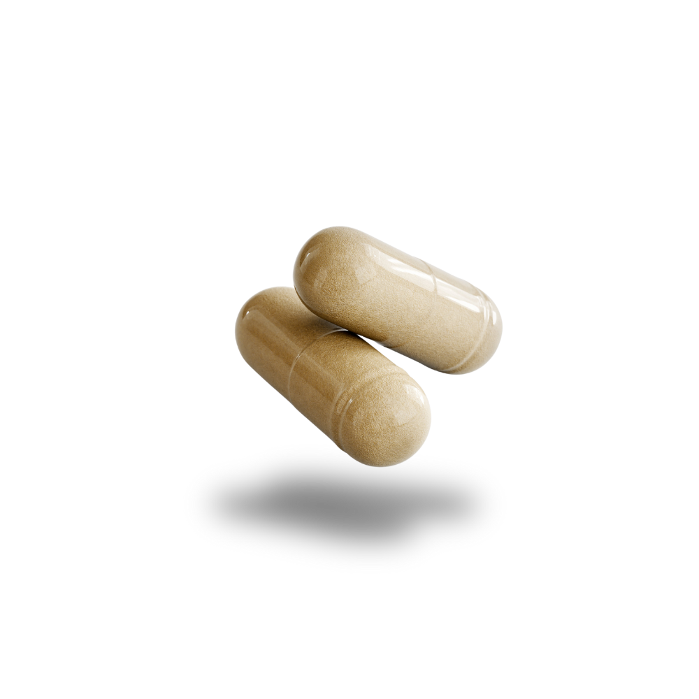 Two beige capsules on a white background